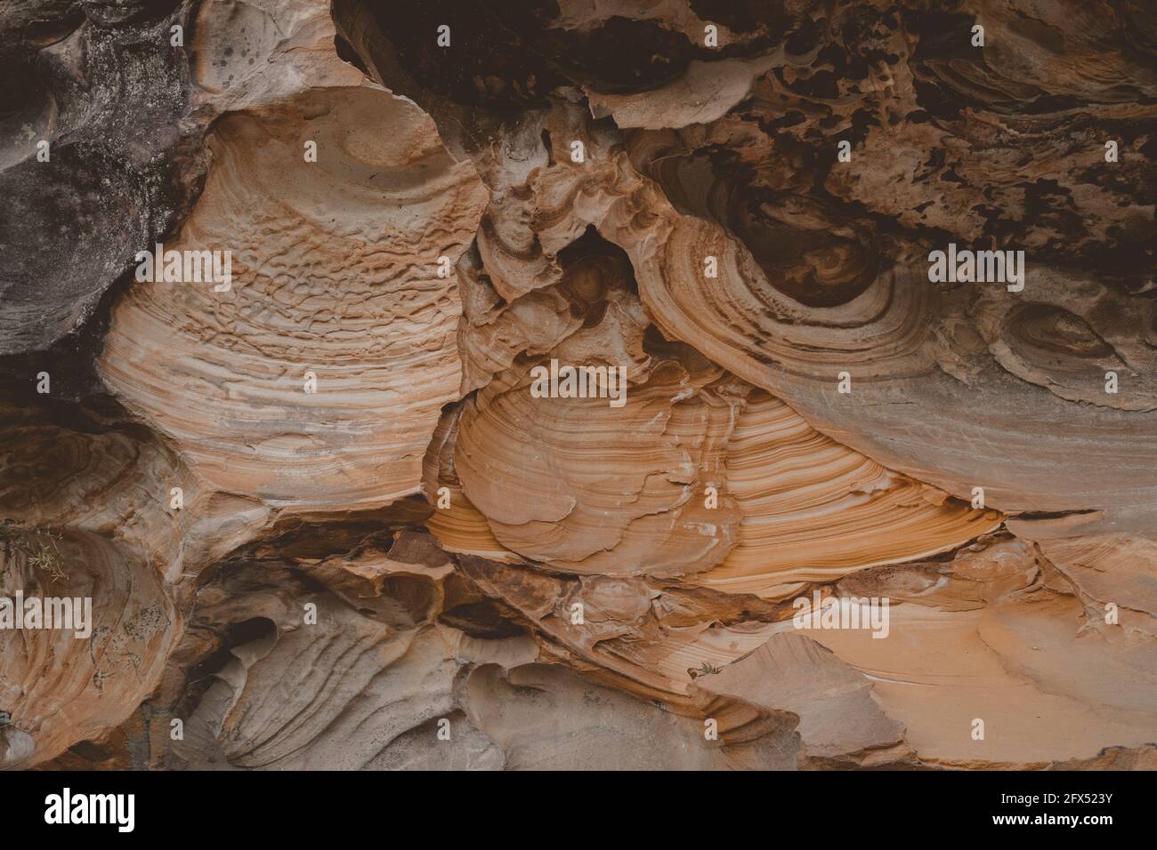 Gros plan sur le motif érodé de la texture des couches de grès. Vue sur une randonnée à Berowra Creek près de la rivière Hawkesbury. Banque D'Images