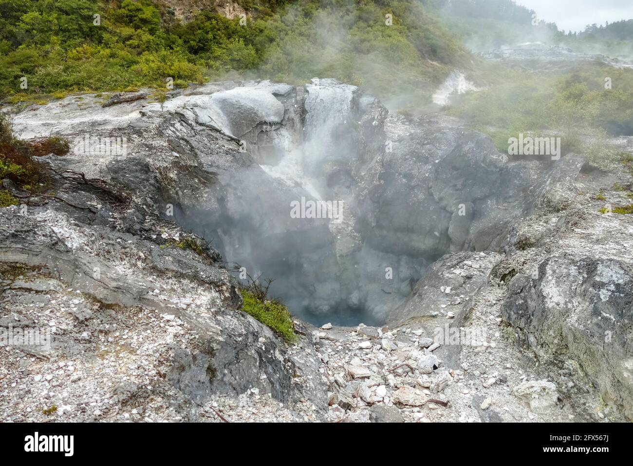 Paysage autour de la vallée géothermique te Puia en Nouvelle-Zélande Banque D'Images
