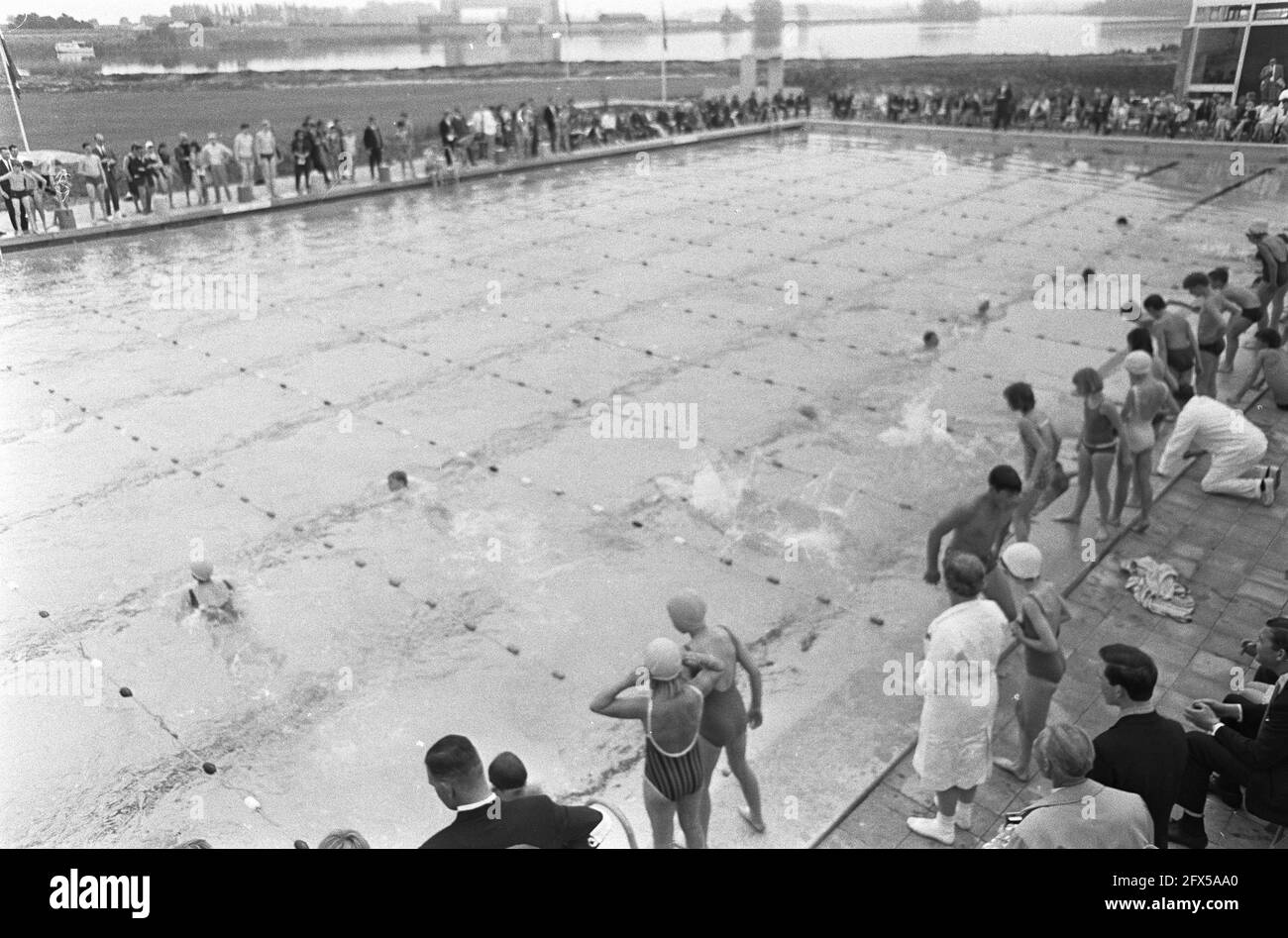Flevoparkbad ouvert, avec relais ils nagent dans la piscine en plein air, 3  juin 1967, ouvertures, piscines, Pays-Bas, Agence de presse du XXe siècle  photo, nouvelles à retenir, documentaire, photographie historique 1945-1990,