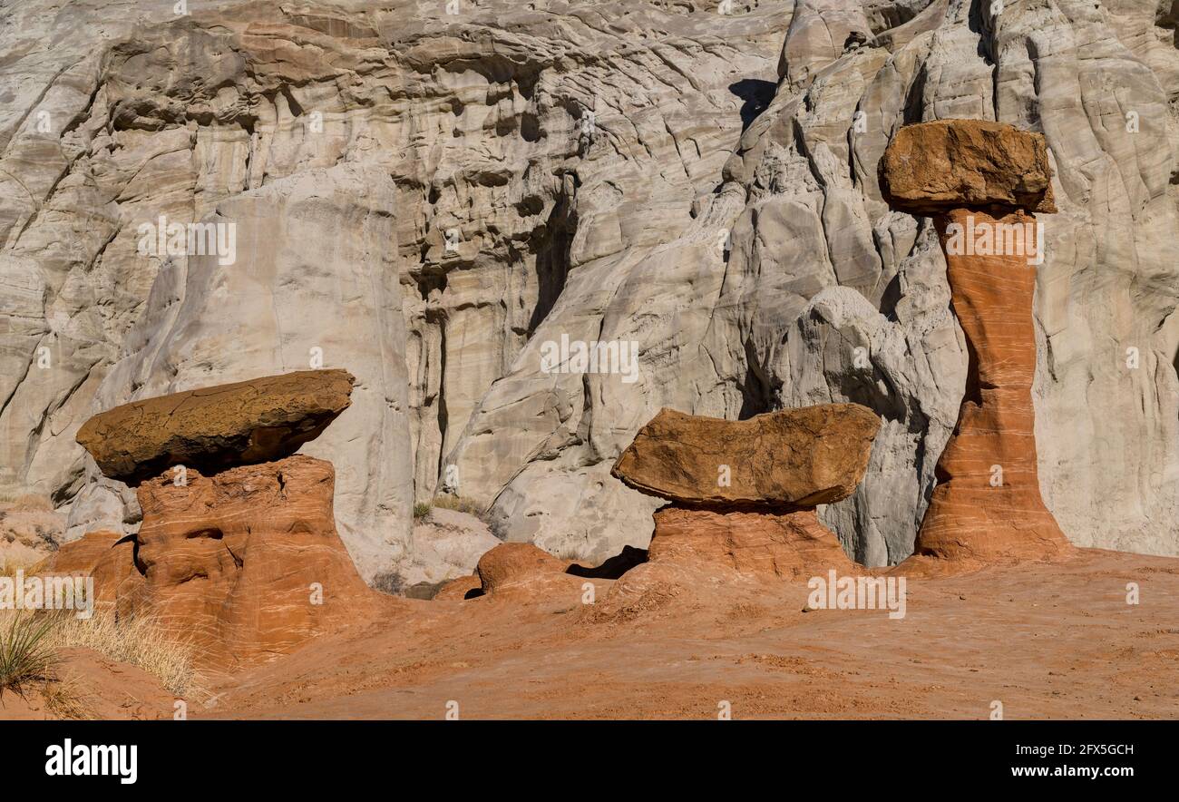 Toadstool Hoodoos, Kanab, Utah, États-Unis Banque D'Images