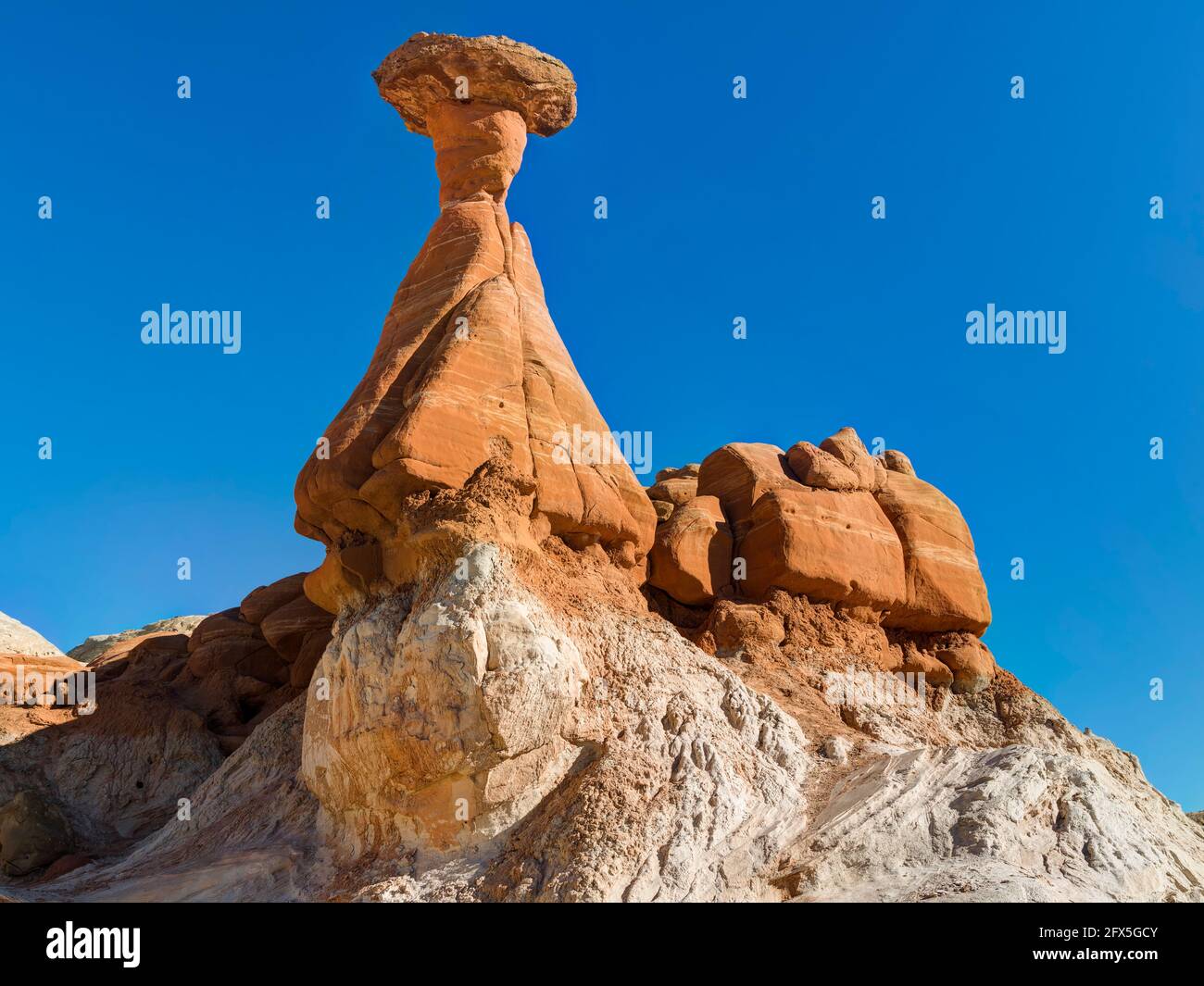 Toadstool Hoodoos, Kanab, Utah, États-Unis Banque D'Images