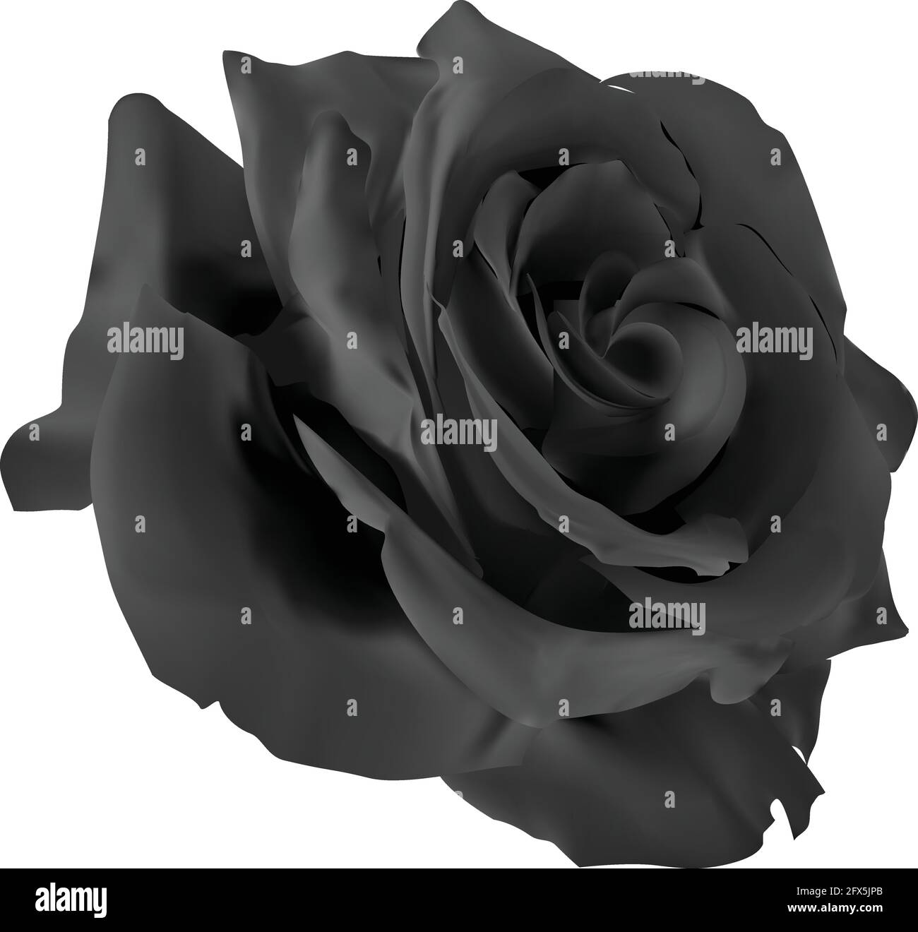 Fleur rose noire vectorielle détaillée Illustration de Vecteur