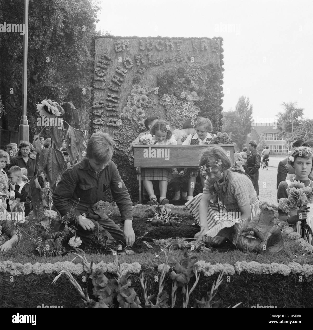 Défilé de légumes par des écoliers, septembre 16 1950, écoliers, pays-Bas, photo de l'agence de presse du XXe siècle, nouvelles à retenir, documentaire, photographie historique 1945-1990, histoires visuelles, L'histoire humaine du XXe siècle, immortaliser des moments dans le temps Banque D'Images