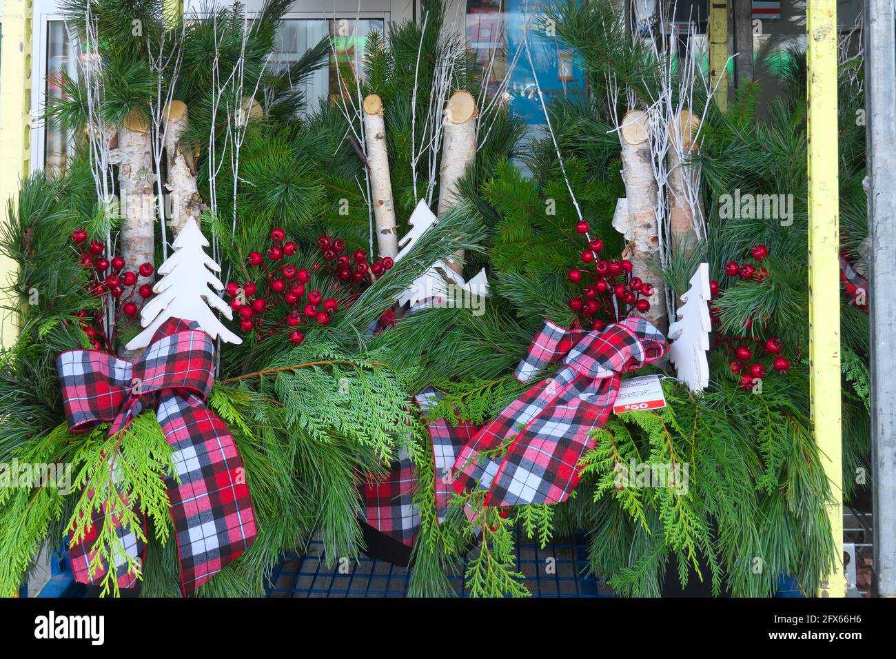 Décoration de Noël Evergreen en vente dans un magasin de détail à Pitt Meadows, B. C., Canada. Banque D'Images