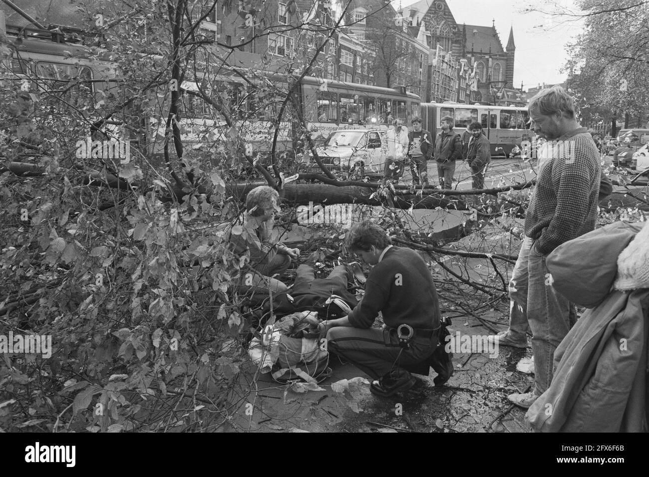 Tempête lourde; cycliste sous arbre sur NZ Voorburgwal à Amsterdam, 16 octobre 1987, arbres, pays-Bas, agence de presse du xxe siècle photo, nouvelles à retenir, documentaire, photographie historique 1945-1990, histoires visuelles, L'histoire humaine du XXe siècle, immortaliser des moments dans le temps Banque D'Images