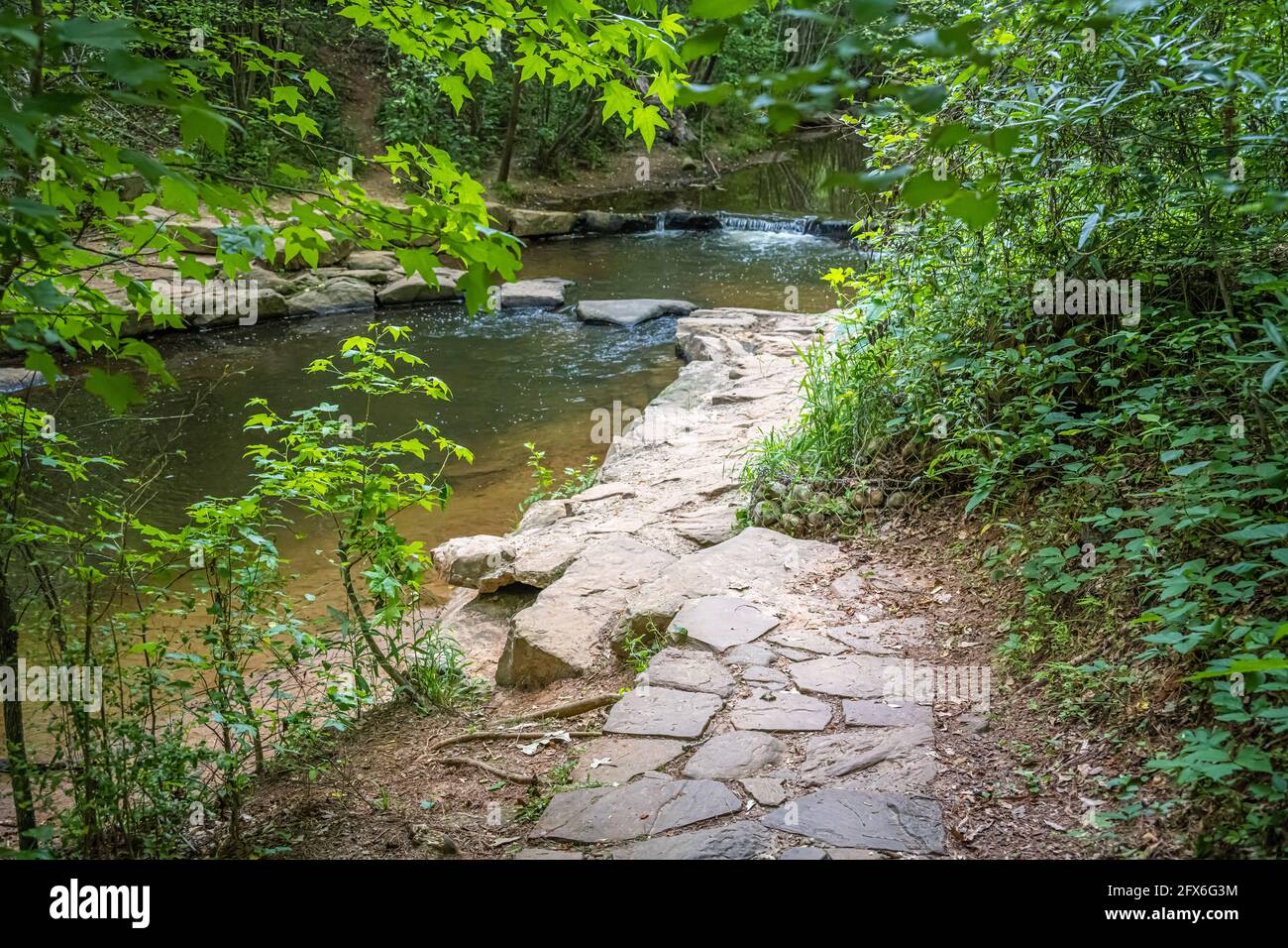 Ruisseau paisible avec sentier traversant des rochers au parc Ronald Reagan à Lawrenceville, Géorgie. (ÉTATS-UNIS) Banque D'Images