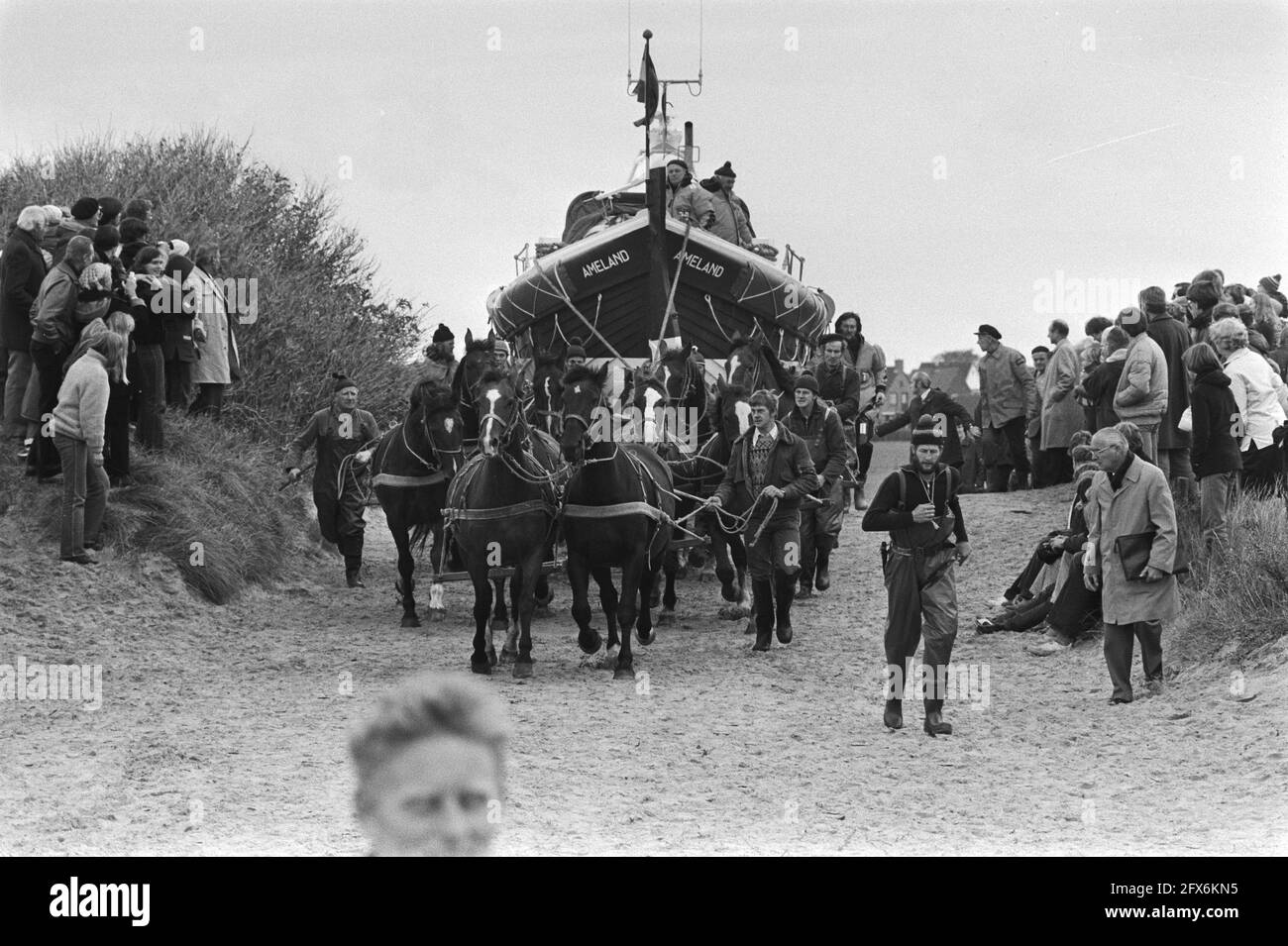 Holum (am). Le canot de sauvetage Amelander est conduit à la plage par des chevaux lors d'une visite de travail de la reine Beatrix et du prince Claus aux îles des Wadden, 15 octobre 1981, chevaux, bateaux de sauvetage, maisons royales, visites de travail, pays-Bas, Agence de presse du XXe siècle photo, nouvelles à retenir, documentaire, photographie historique 1945-1990, histoires visuelles, L'histoire humaine du XXe siècle, immortaliser des moments dans le temps Banque D'Images