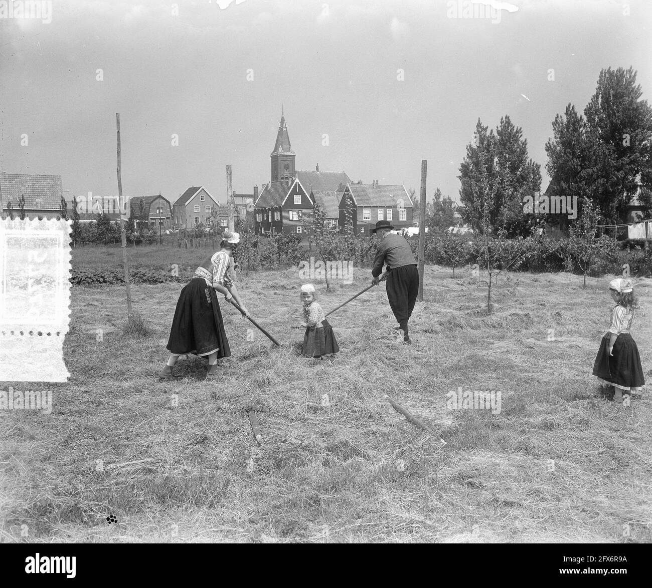 Hraymaking Time on Island Marken, 12 juin 1953, pays-Bas, agence de presse du XXe siècle photo, news to remember, documentaire, photographie historique 1945-1990, histoires visuelles, L'histoire humaine du XXe siècle, immortaliser des moments dans le temps Banque D'Images