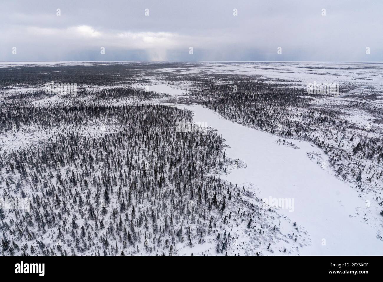 Paysage forestier boréal du nord du Manitoba, à l'extérieur de Churchill, dans la toundra du nord, dans l'arctique, sur les rives de la baie d'Hudson. Aérienne, œil d'oiseau. Banque D'Images