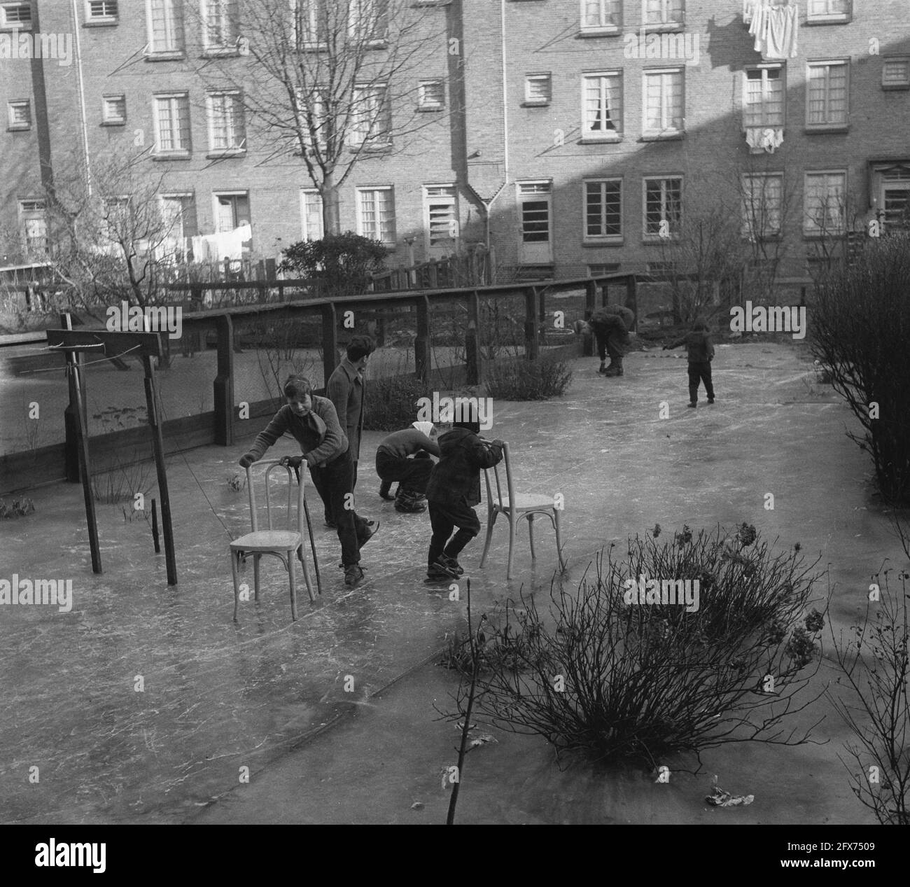 Glace sur le jardin inondé à l'Ouest, le 1er février 1956, glace, jardins, Pays-Bas, Agence de presse du XXe siècle photo, nouvelles à retenir, documentaire, photographie historique 1945-1990, histoires visuelles, L'histoire humaine du XXe siècle, immortaliser des moments dans le temps Banque D'Images