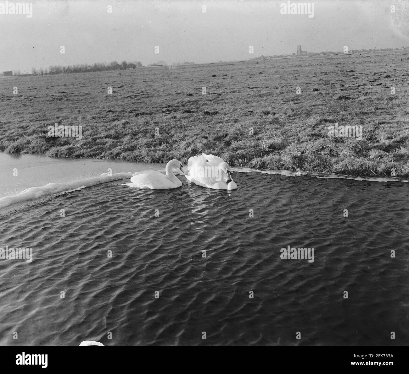 Ijsselmeer n'est pas navigable, 21 janvier 1946, pays-Bas, agence de presse du XXe siècle photo, news to remember, documentaire, photographie historique 1945-1990, histoires visuelles, L'histoire humaine du XXe siècle, immortaliser des moments dans le temps Banque D'Images