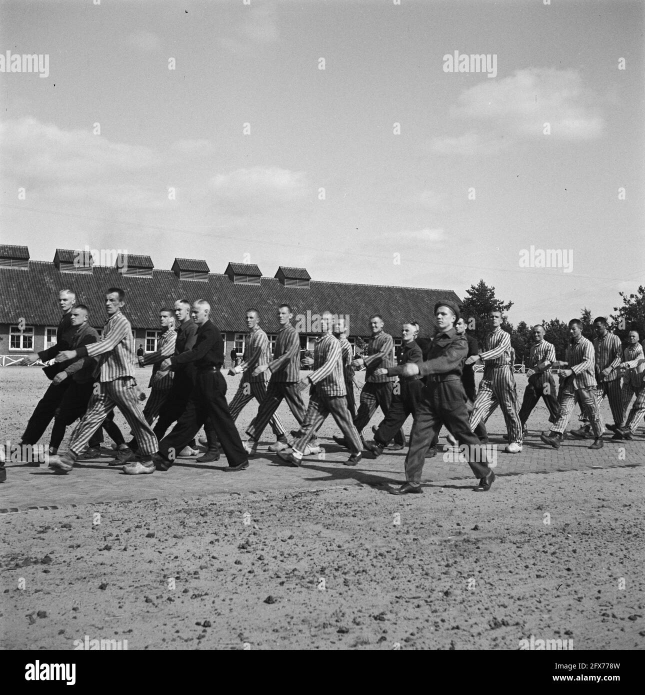 Dans le camp pénitentiaire de Vught, 7000 collaborateurs et traîtres hollandais ont été emprisonnés. Les soldats du Stoottroepen néerlandais sont en charge de la sécurité, en particulier des 300 hommes SS néerlandais. Dirigés par le commandant du camp, le major L. Mennes, et ses aides, ces prisonniers sont utilisés pour nettoyer la zone autour de Vught de mines terrestres, entre autres choses. Ils étaient vêtus des uniformes de prisonnier à rayures bleues et blanches des anciens Hollandais capturés par les Allemands. Les prisonniers reçoivent la ration civile minimale, qui est également réduite parce que toutes les gourmandises ont été prises. Ils passent leurs journées ici Banque D'Images