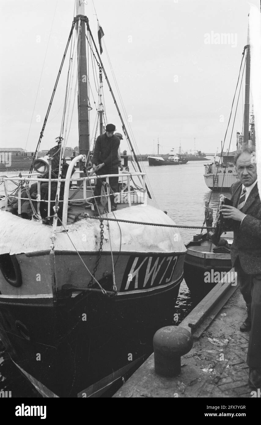 Arrivée de nouveaux harengs à IJmuiden. KW 73 docks, 26 mai 1961, HARINGEN, arrivées, pays-Bas, agence de presse du xxe siècle photo, nouvelles à retenir, documentaire, photographie historique 1945-1990, histoires visuelles, L'histoire humaine du XXe siècle, immortaliser des moments dans le temps Banque D'Images