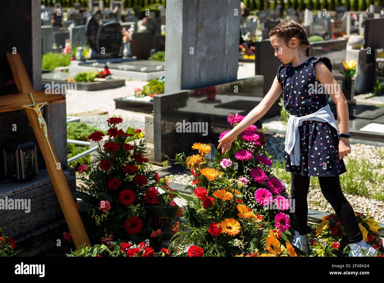 Une fille est en train de jeter des fleurs dans la tombe de la personne décédée. La famille fait ses derniers adieux aux funérailles dans le cimetière. Triste et triste moment au cimet Banque D'Images