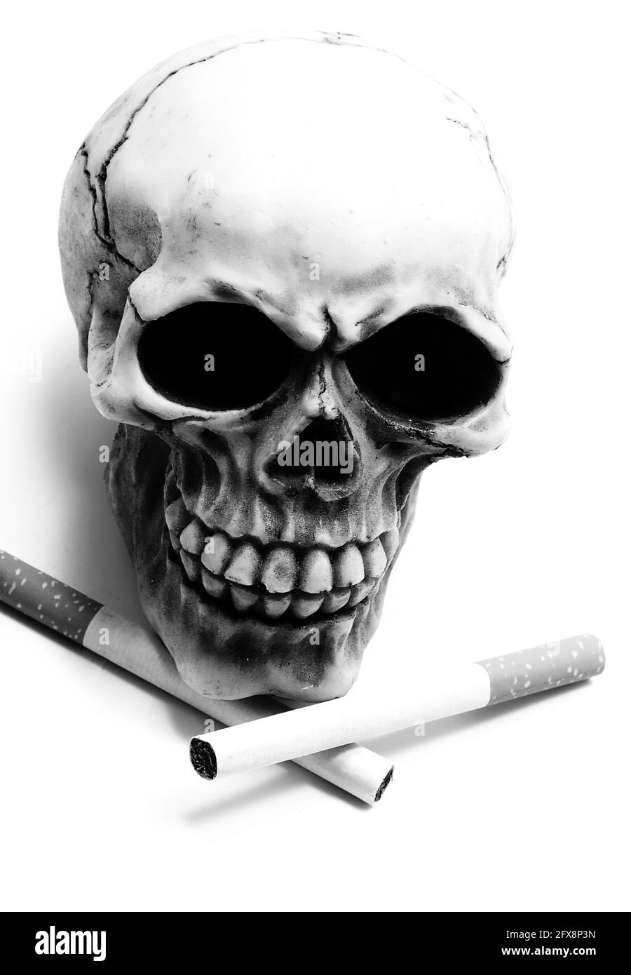 deux cigarettes croisées et crâne humain grinçant sur fond blanc symbole de toxicité et de mort avec noir et blanc dramatique effet Banque D'Images