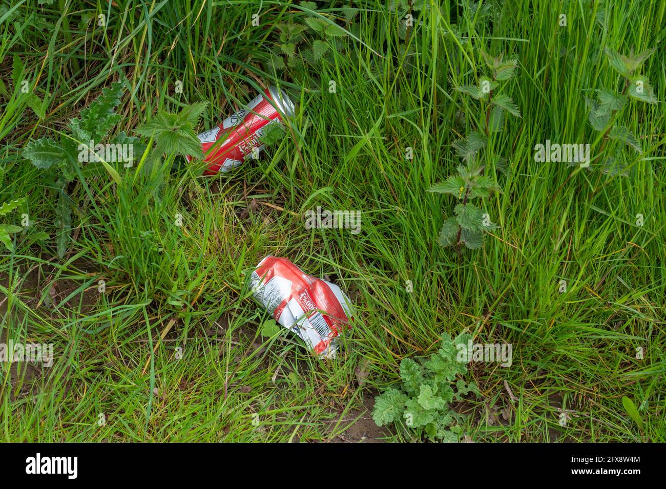 Vider les canettes de bière en métal jetées à la limite de l'herbe Une route Norfolk Banque D'Images