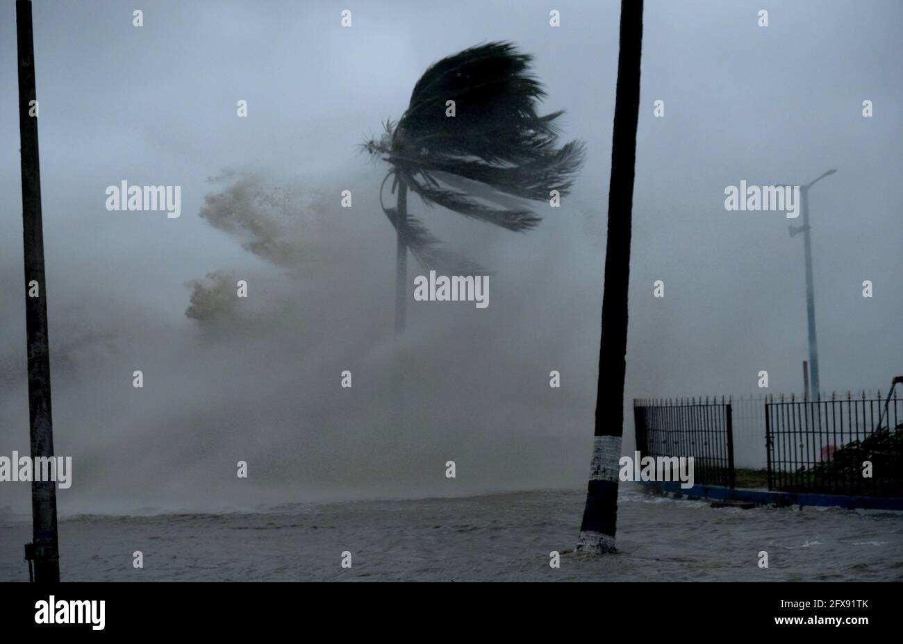 Calcutta. 26 mai 2021. Photo prise le 26 mai 2021 montre des arbres battus par la tempête cyclonique Yaas dans la station balnéaire de Digha, près de Kolkata, capitale de l'État indien de l'est du Bengale occidental, Inde. Cinq personnes ont été tuées mercredi après que la tempête cyclonique Yaas a frappé la zone côtière des États du Bengale occidental et d'Odisha, selon les médias locaux. Credit: STR/Xinhua/Alay Live News Banque D'Images