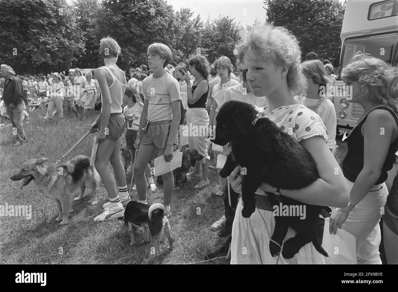 Chats Et Chiens Provenant D Abris Pour Animaux A Mallieveld La Haye 8 Juillet 1984 Chiens Chats Abris Pour Animaux Pays Bas Agence De Presse Du Xxe Siecle Photo Nouvelles A Retenir Documentaire Photographie