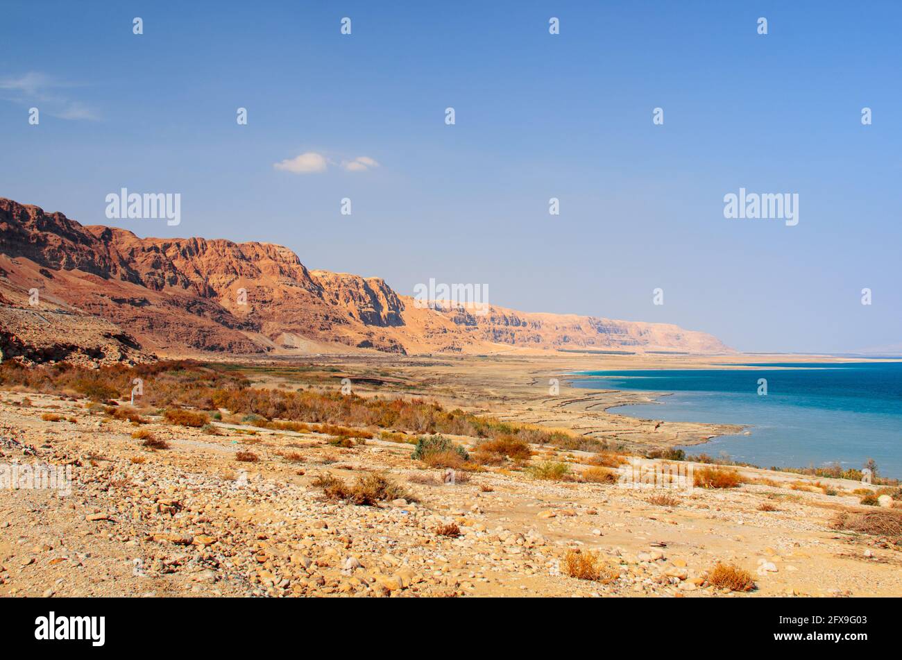 Côte de la mer Morte près d'Ein Gedi, Israël. Banque D'Images