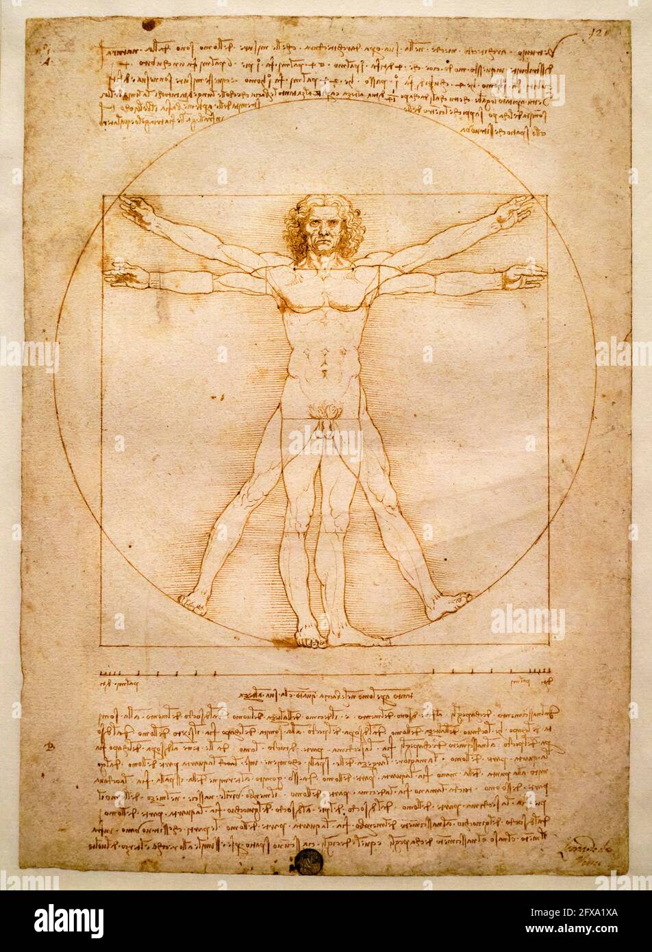 Homme vitruvien de leonardo da vinci