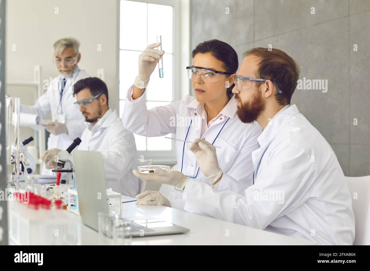 Groupe de scientifiques sérieux travaillant sur de nouveaux produits chimiques ou vaccins dans leur laboratoire Banque D'Images