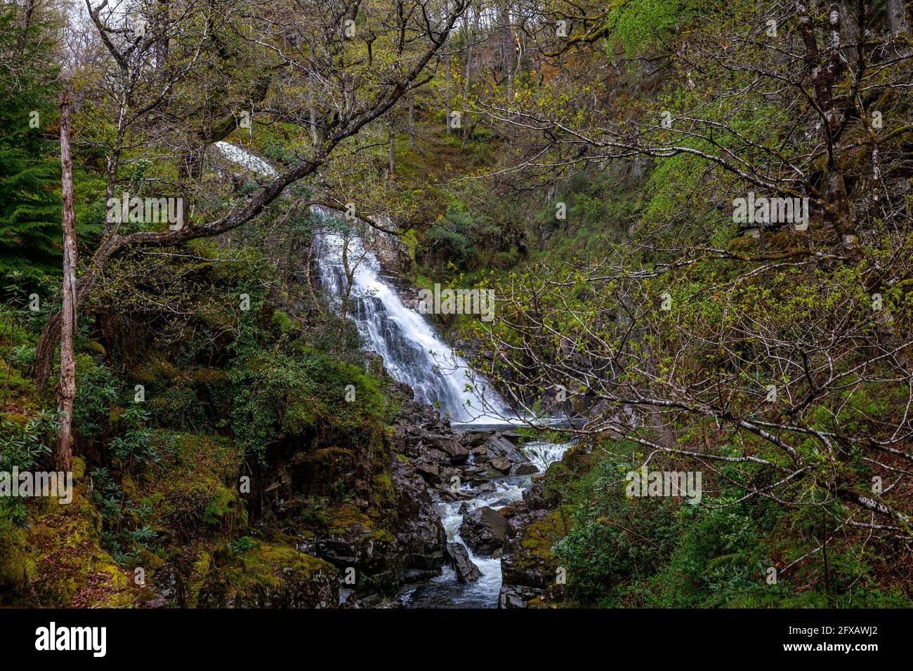 Chute d'eau de Pistyll Cain, forêt de Coed y Brenin, Gwynedd, pays de Galles. Banque D'Images