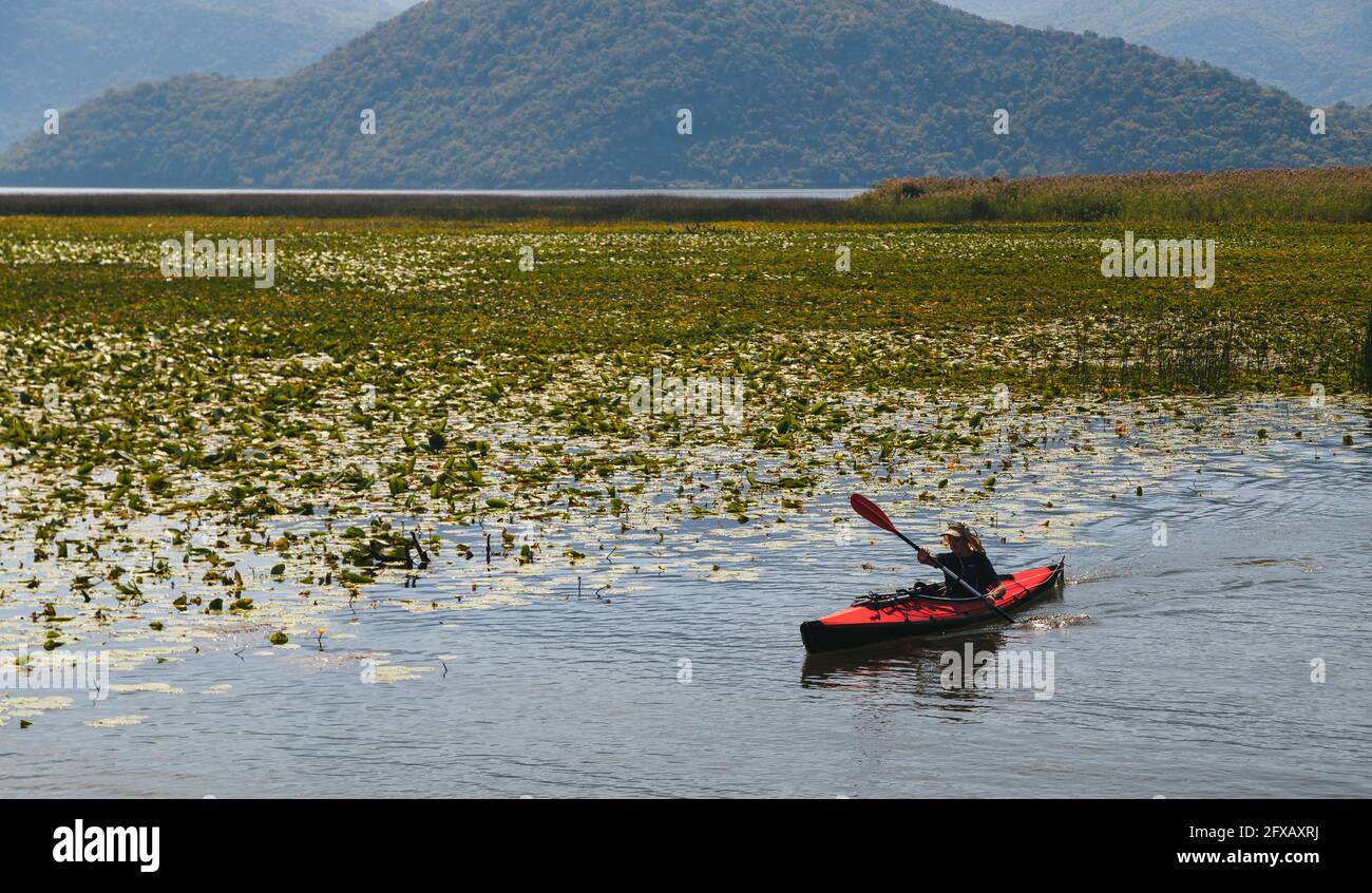 Montenegro, Parc National Skadar Lac - septembre, 21 2018: Un petit kayak rouge avec un touriste au milieu du lac Skadar, célèbre touriste Banque D'Images