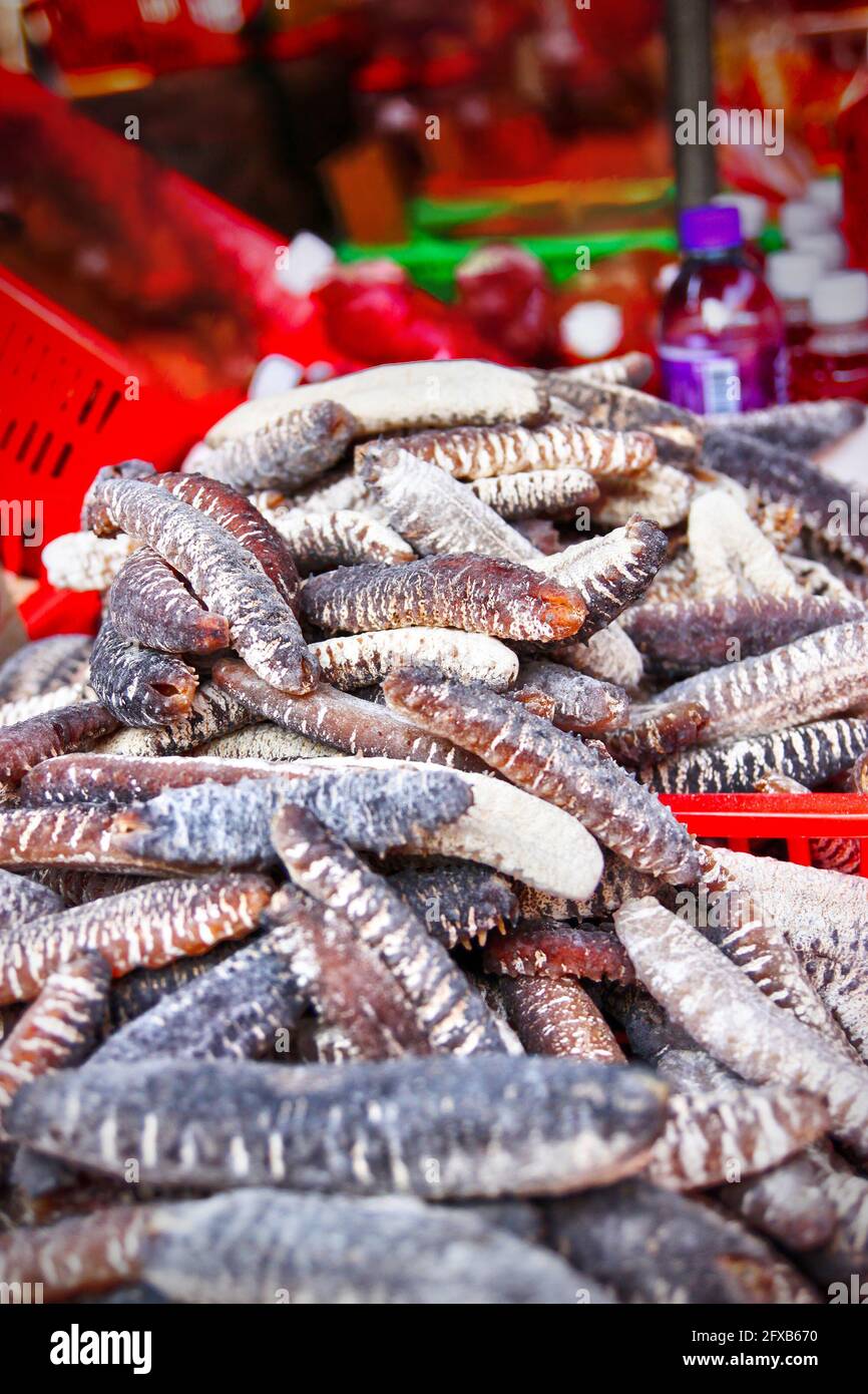 Concombre de mer séché à vendre sur un marché chinois à Tai O, sur l'île de Lantau, à Hong Kong. Il s'agit de spécialités populaires de fruits de mer à utiliser comme ingrédients dans le Chin Banque D'Images