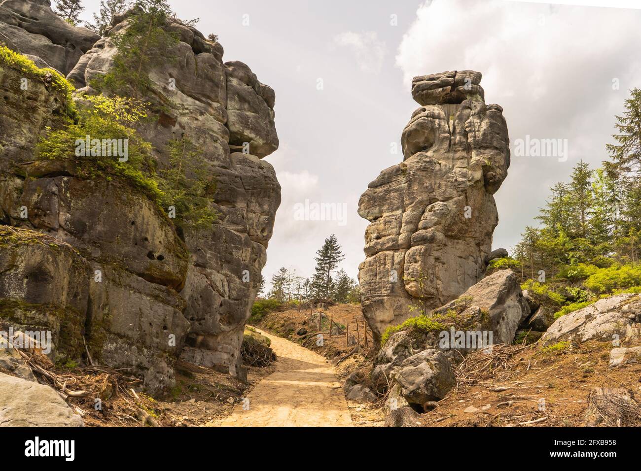 Ostas Réserve naturelle et montagne de table, région de Broumov, République Tchèque.vue sur les rochers, grotte, bizarre Formations de grès.petite ville naturelle avec labyrinthe Banque D'Images