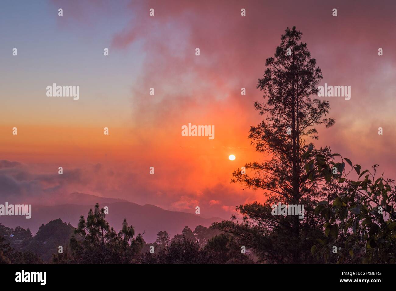 Coucher de soleil spectaculaire à San Jose Del Pacifico. Un soleil rouge vif derrière les nuages qui s'enroulent au-dessus des montagnes brumeuses, avec une forêt de pins luxuriante au premier plan. Banque D'Images