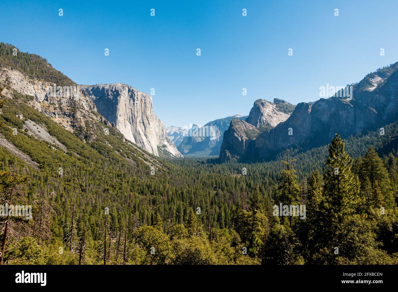 Vue panoramique sur le parc national de Yosemite avec El Capitan une chaude journée d'été Banque D'Images