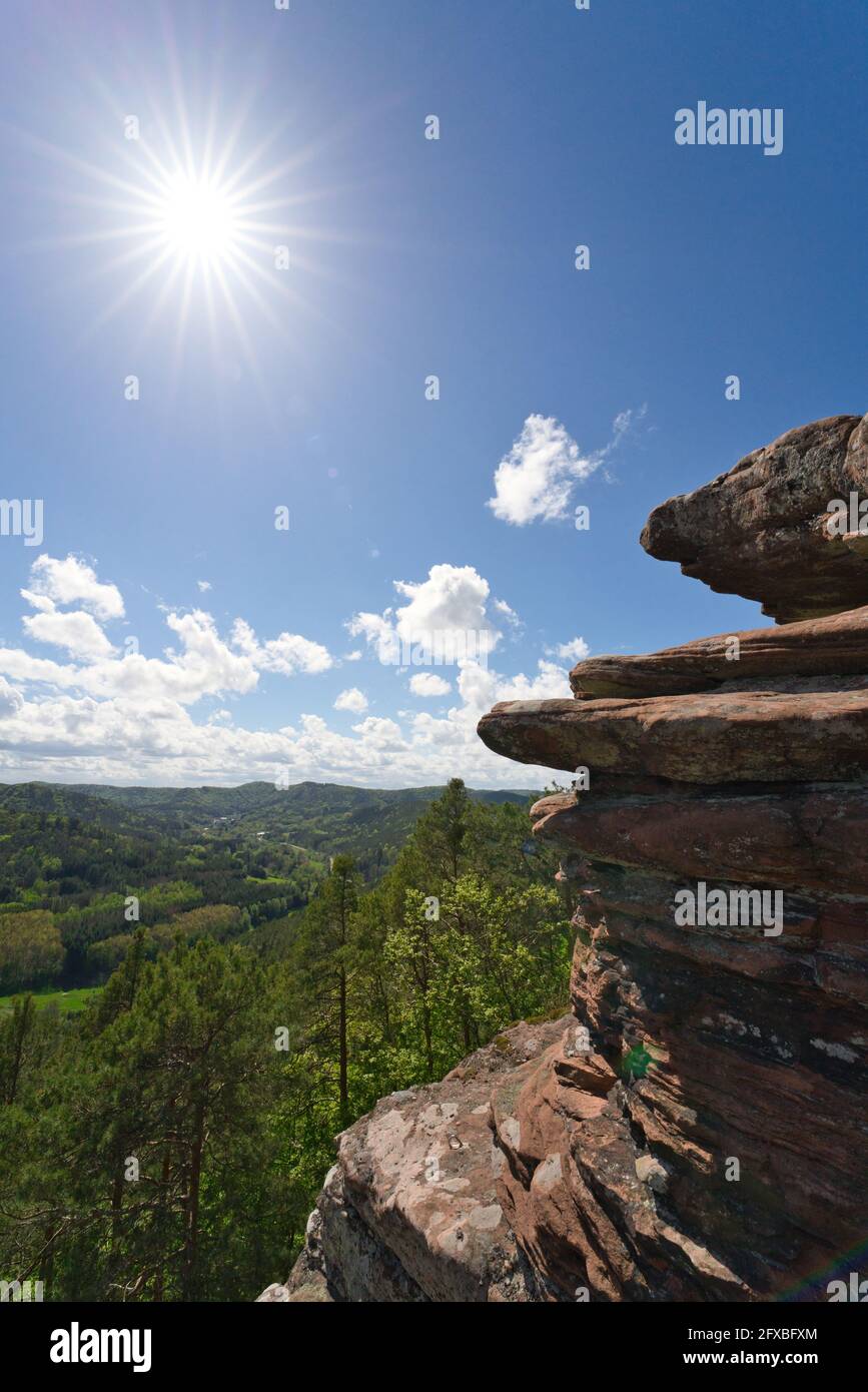 Un beau panorama près de la geiersteine sur la forêt du Palatinat au printemps, Allemagne, rhénanie-palatinat Banque D'Images