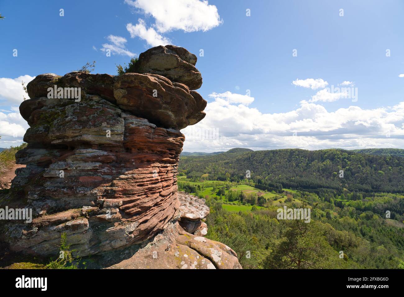Un beau panorama près de la geiersteine sur la forêt du Palatinat au printemps, Allemagne, rhénanie-palatinat Banque D'Images