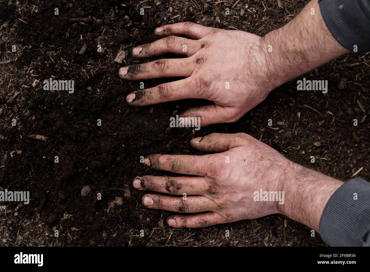 Mains sales de l'homme mûr sur les terres agricoles Banque D'Images