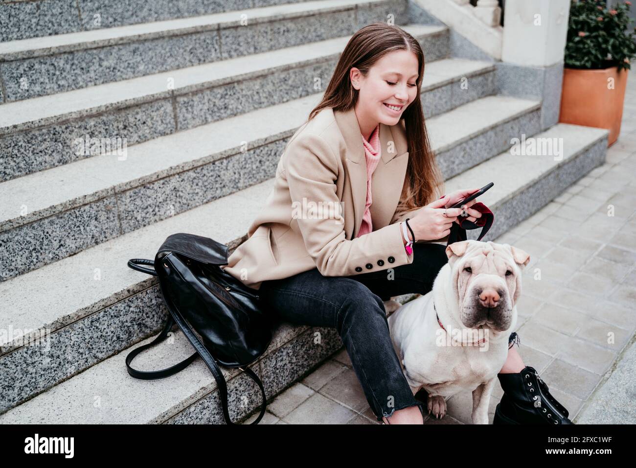 Belle femme avec le chien de Shar-PEI utilisant le téléphone mobile tout en étant assis sur l'escalier Banque D'Images