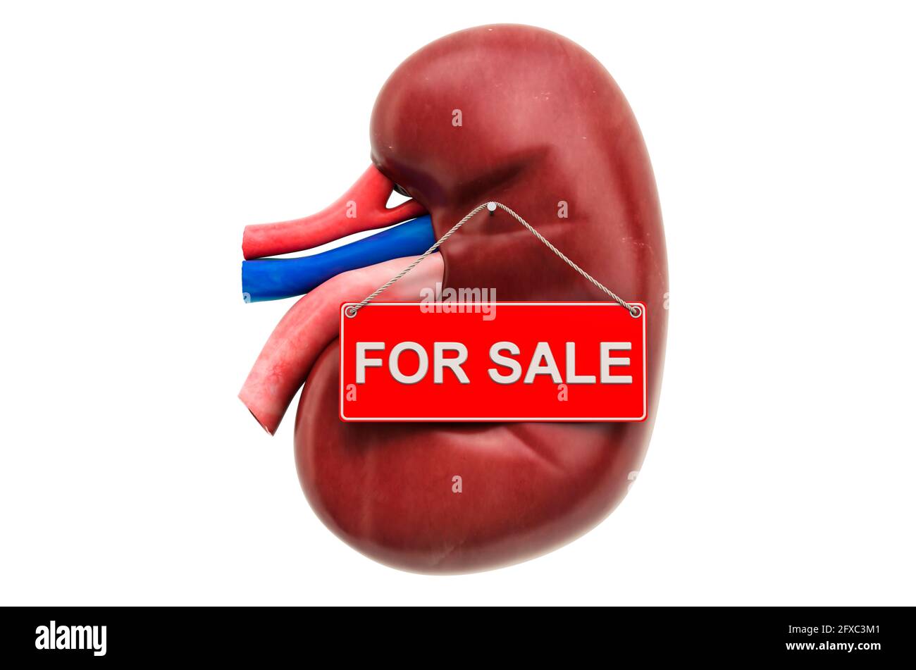 Concept de greffe rénale ou de greffe rénale. Rein avec panneau suspendu pour la vente, rendu 3D isolé sur fond blanc Banque D'Images