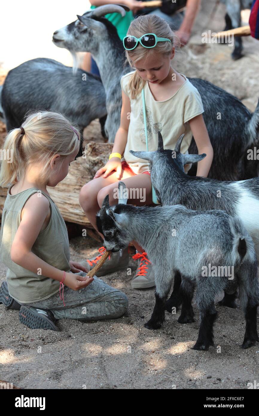 les enfants s'occupent des animaux, en particulier des enfants. Banque D'Images