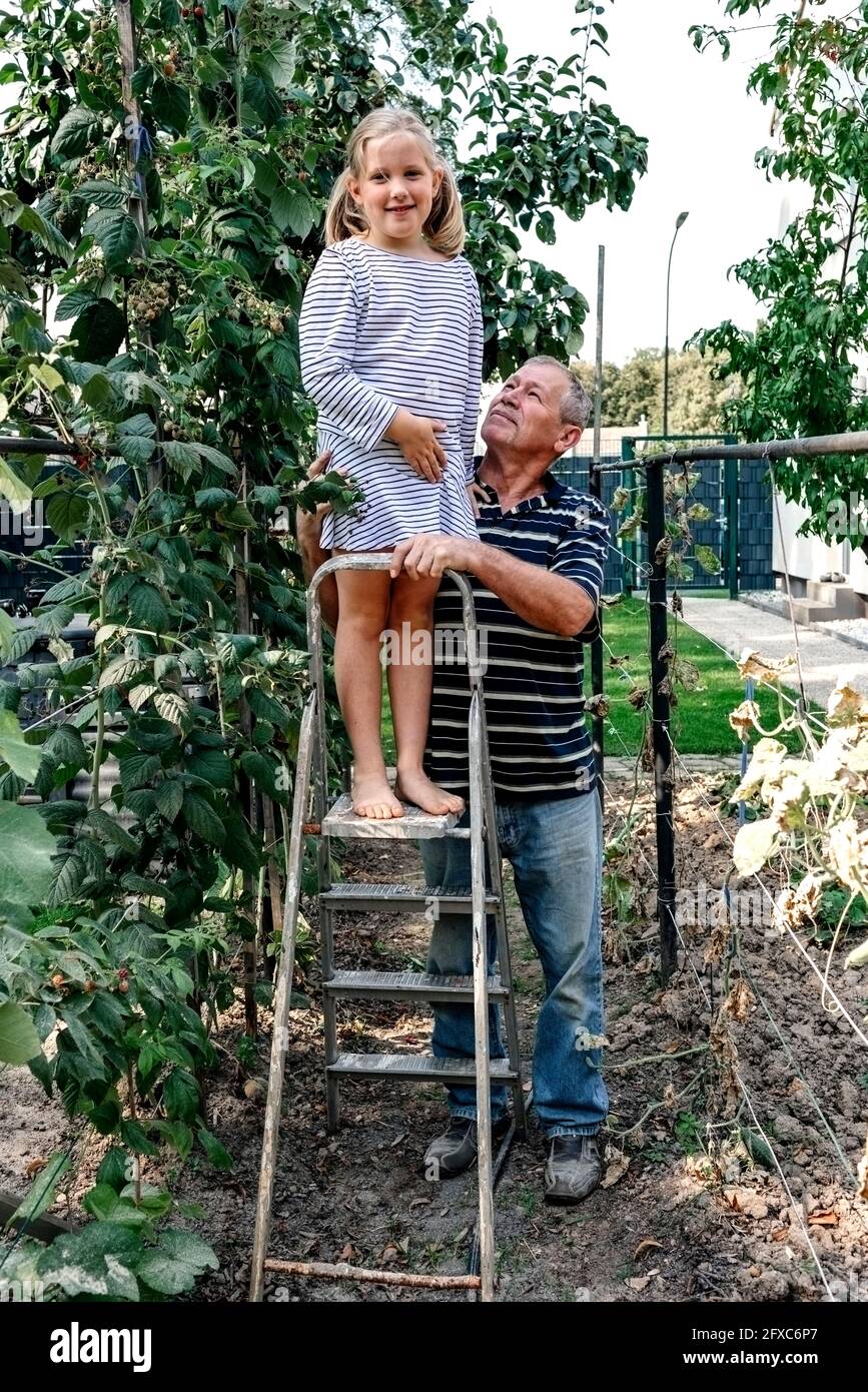 Petite-fille debout sur une échelle par grand-père dans l'arrière-cour Banque D'Images