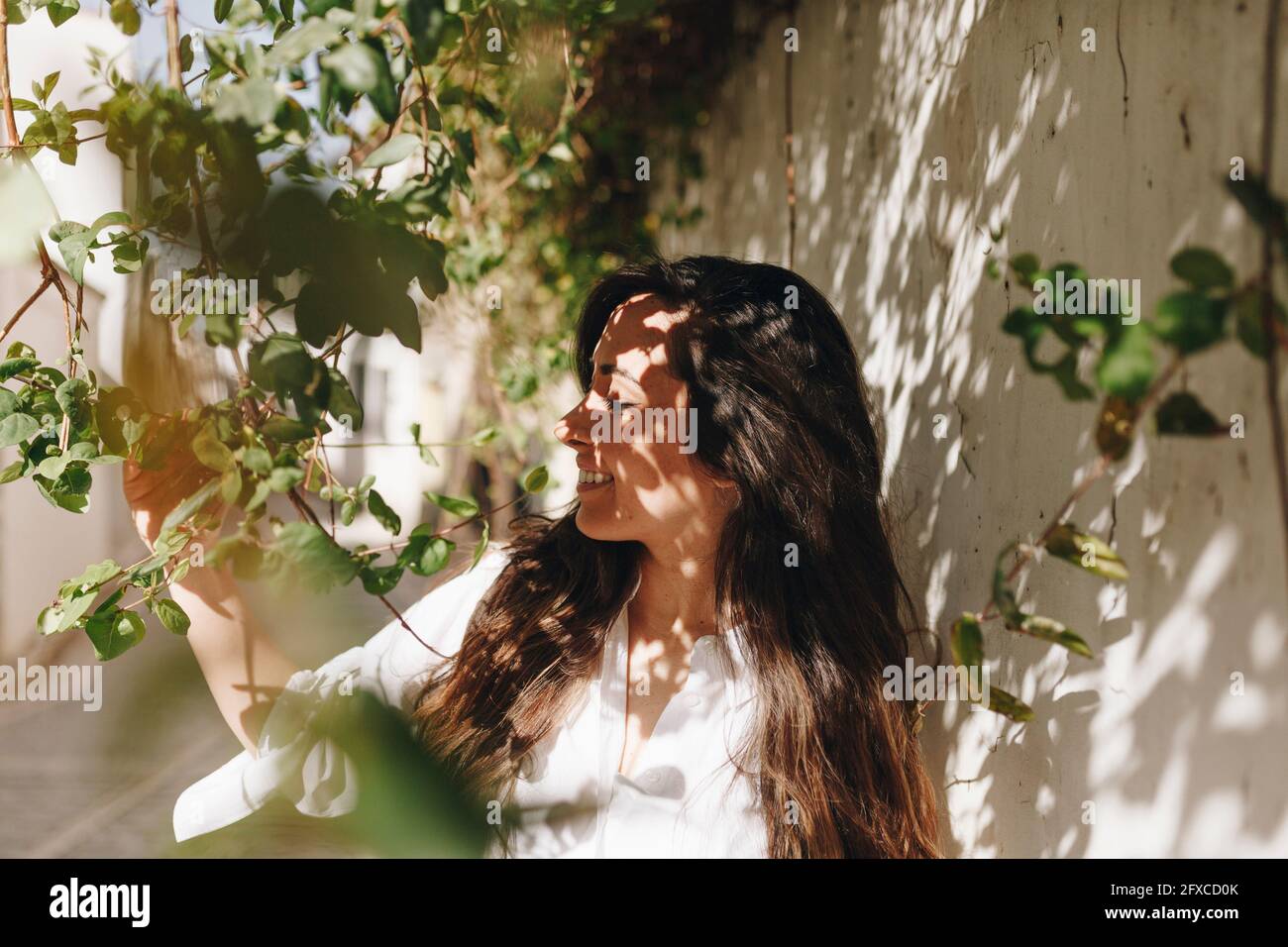 Femme souriant en touchant la plante par le mur environnant Banque D'Images Femme souriant en touchant la plante par le mur environnant Banque D'Images