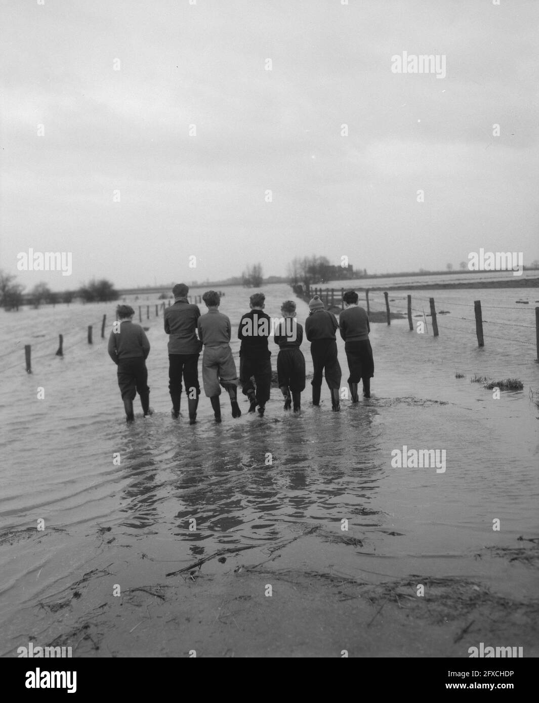 Inondations dans la région de Lobith, 14 février 1958, DÉPASSEMENTS, pays-Bas, agence de presse du xxe siècle photo, nouvelles à retenir, documentaire, photographie historique 1945-1990, histoires visuelles, L'histoire humaine du XXe siècle, immortaliser des moments dans le temps Banque D'Images