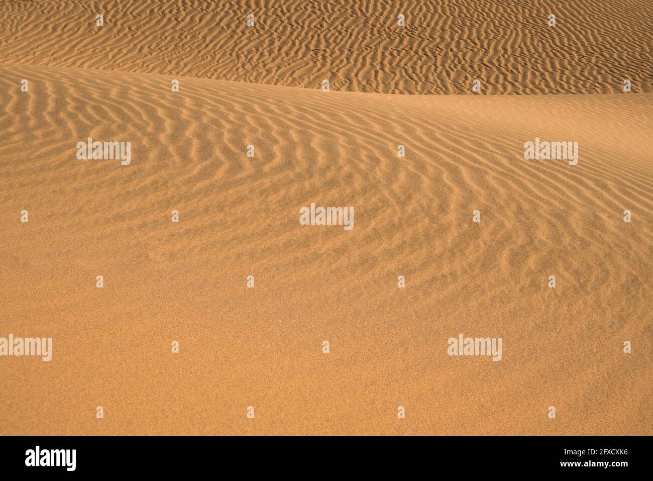 Motifs et vagues de dunes de sable avec des ondulations vues depuis le parc national de la Vallée de la mort, Californie Banque D'Images