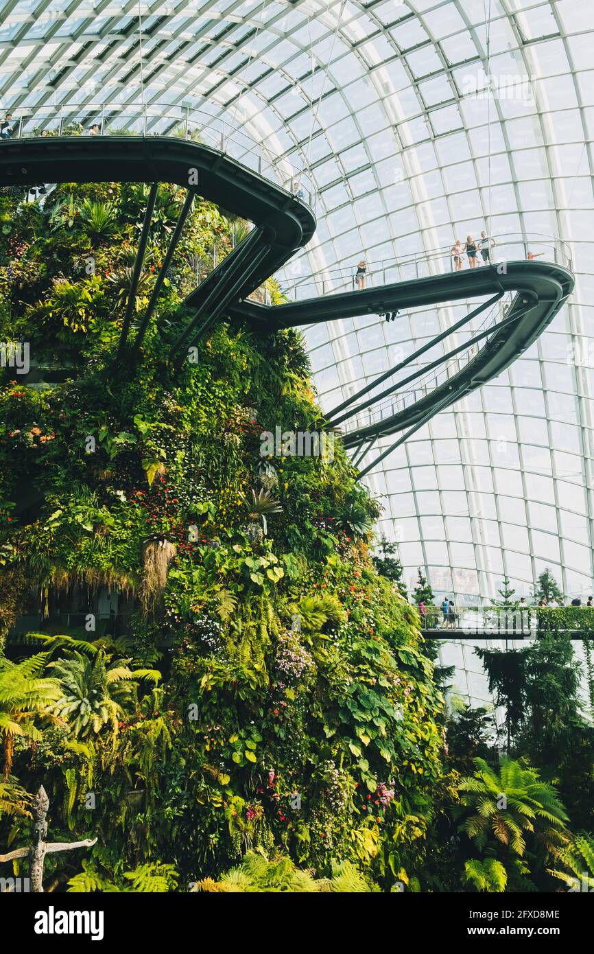 Les gens qui marchent à travers les chemins suspendus à l'intérieur du Dôme des fleurs contre un ciel clair et un plafond en verre, Singapour. Banque D'Images