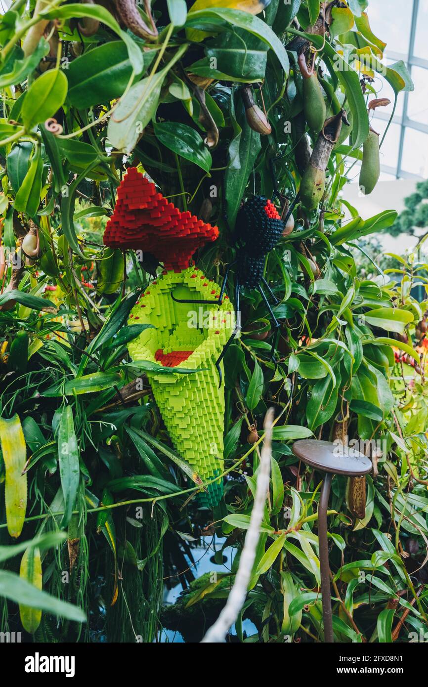 LEGO Carnivore plante et araignée de loisirs dans le Flower Dome à  Singapour Photo Stock - Alamy