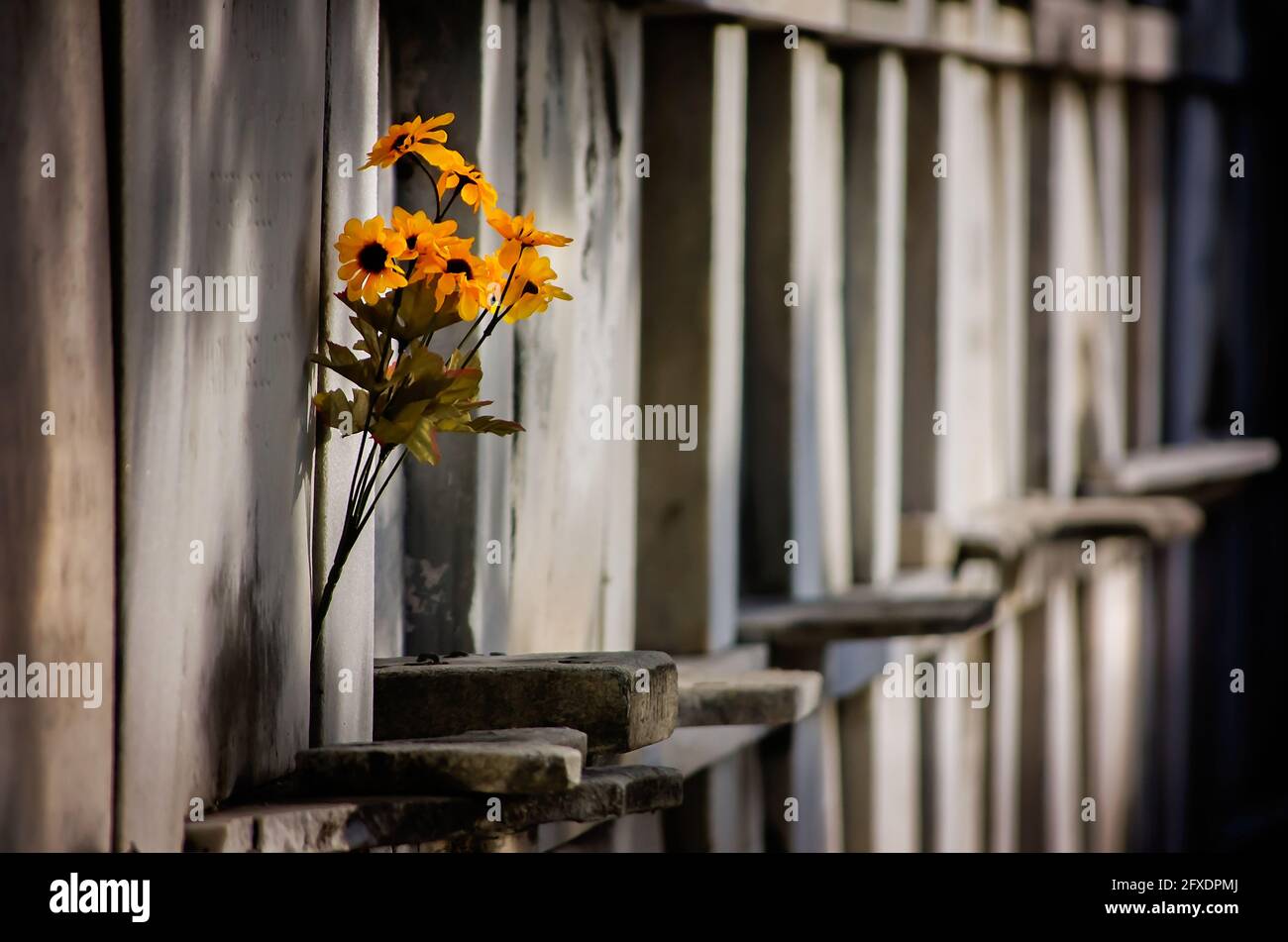 Les fleurs sont insérées dans un mur de voûtes au cimetière Odd Fellows Rest, le 14 novembre 2015, à la Nouvelle-Orléans, en Louisiane. Banque D'Images