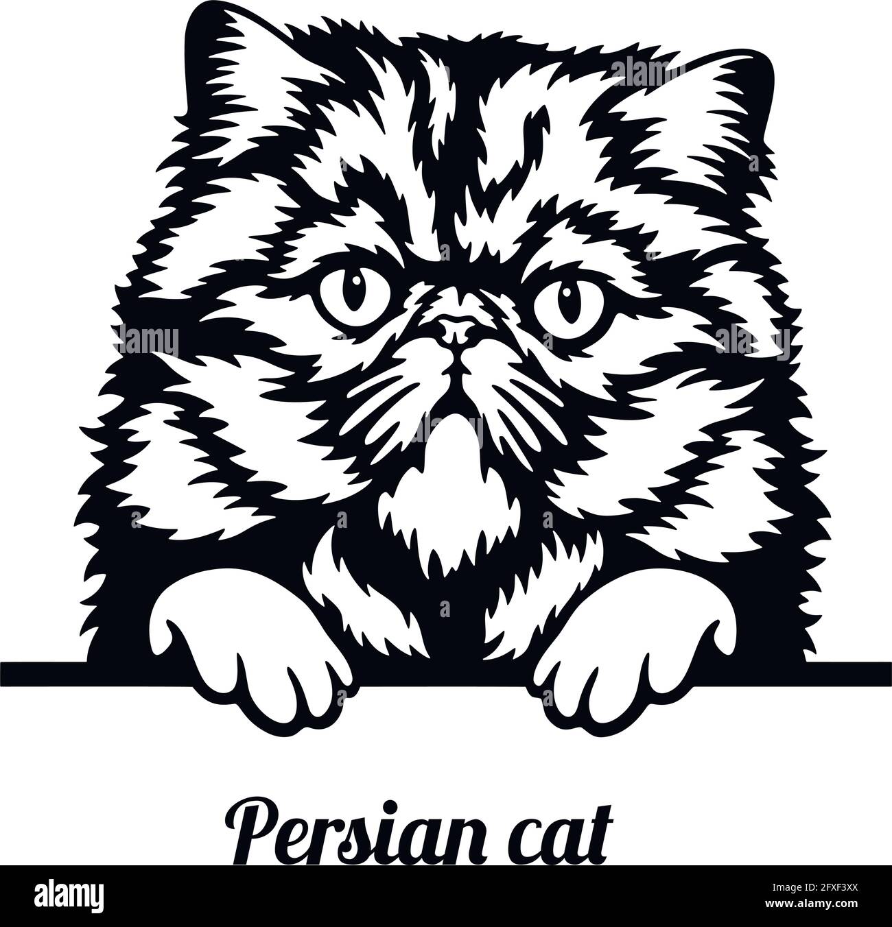 Chat Persan Race De Chat Tete De Race De Chat Isolee Sur Fond Blanc Vecteur Image Vectorielle Stock Alamy Chat Persan Race De Chat Tete De Race De Chat Isolee Sur Fond Blanc Vecteur Image Vectorielle Stock Alamy