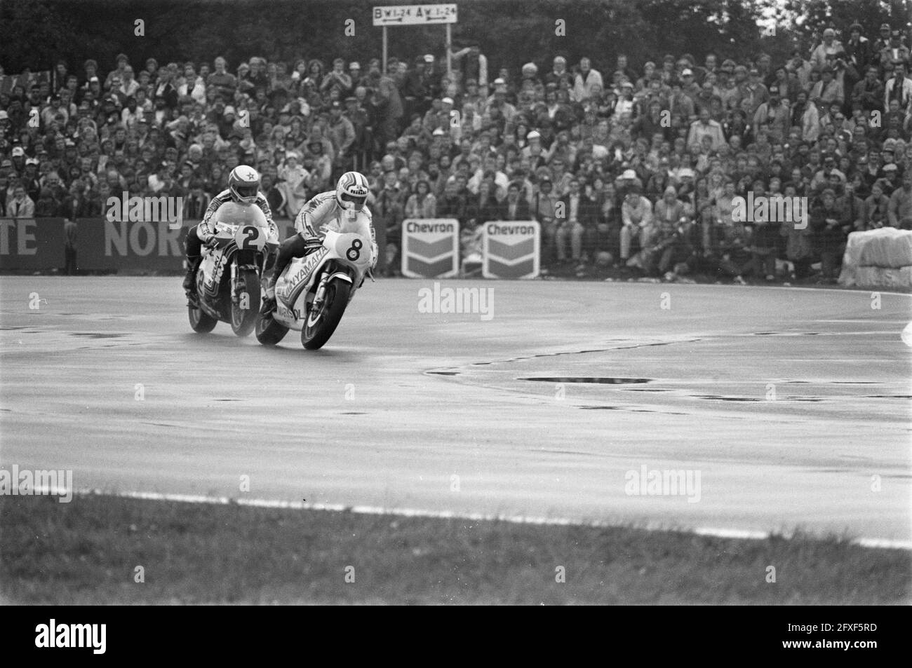 TT Assen; Boet van Dulmen (r), no 8 toujours en face, derrière lui Marco Lucchinelli en action, 27 juin 1981, motos, sports automobiles, pays-Bas, agence de presse du xxe siècle photo, nouvelles à retenir, documentaire, photographie historique 1945-1990, histoires visuelles, L'histoire humaine du XXe siècle, immortaliser des moments dans le temps Banque D'Images