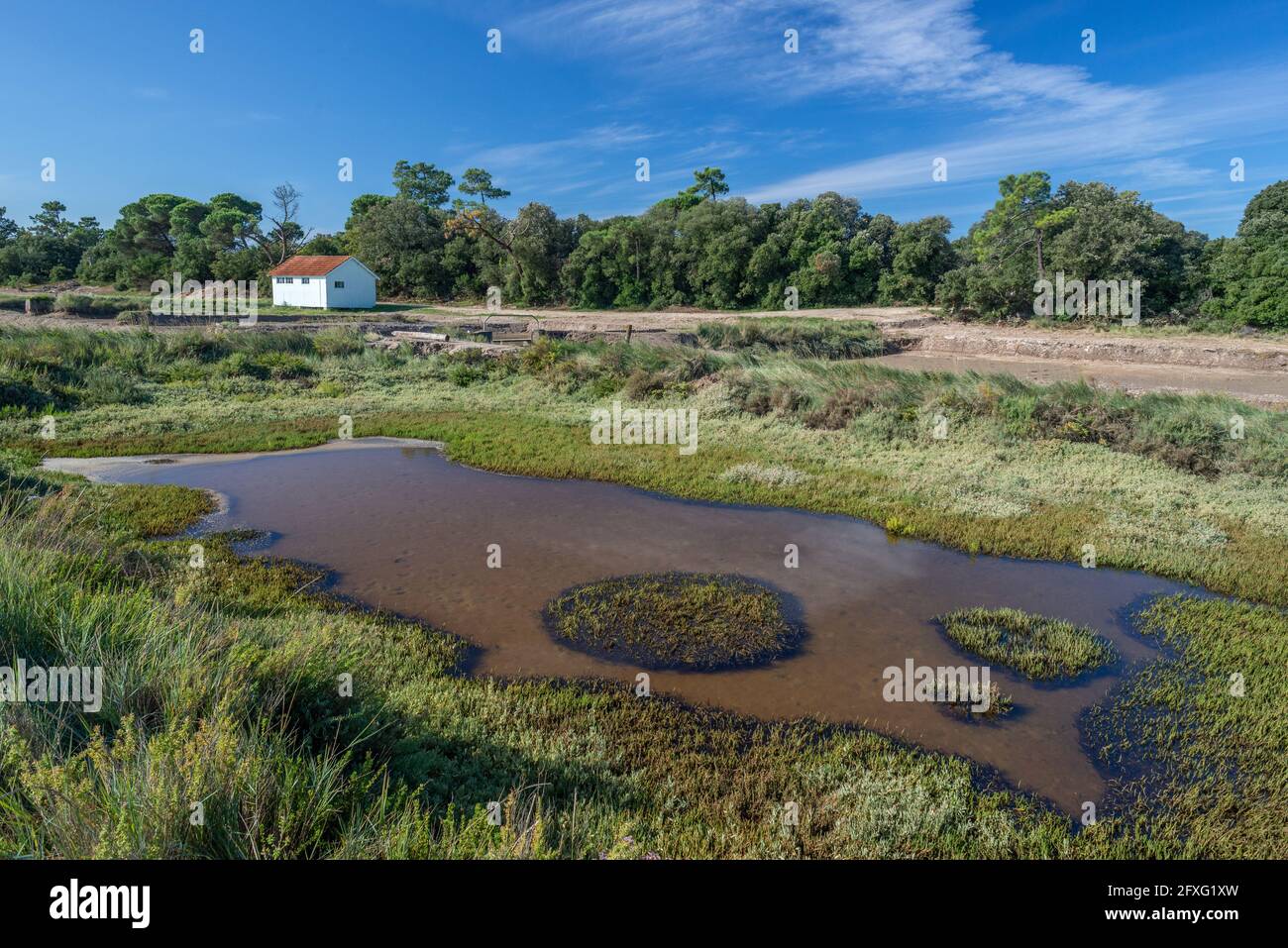 Île d'Oléron, Charente Maritime, France Marsh salé avec ancien bassin ostréicole au centre d'accueil de fort Royer Banque D'Images