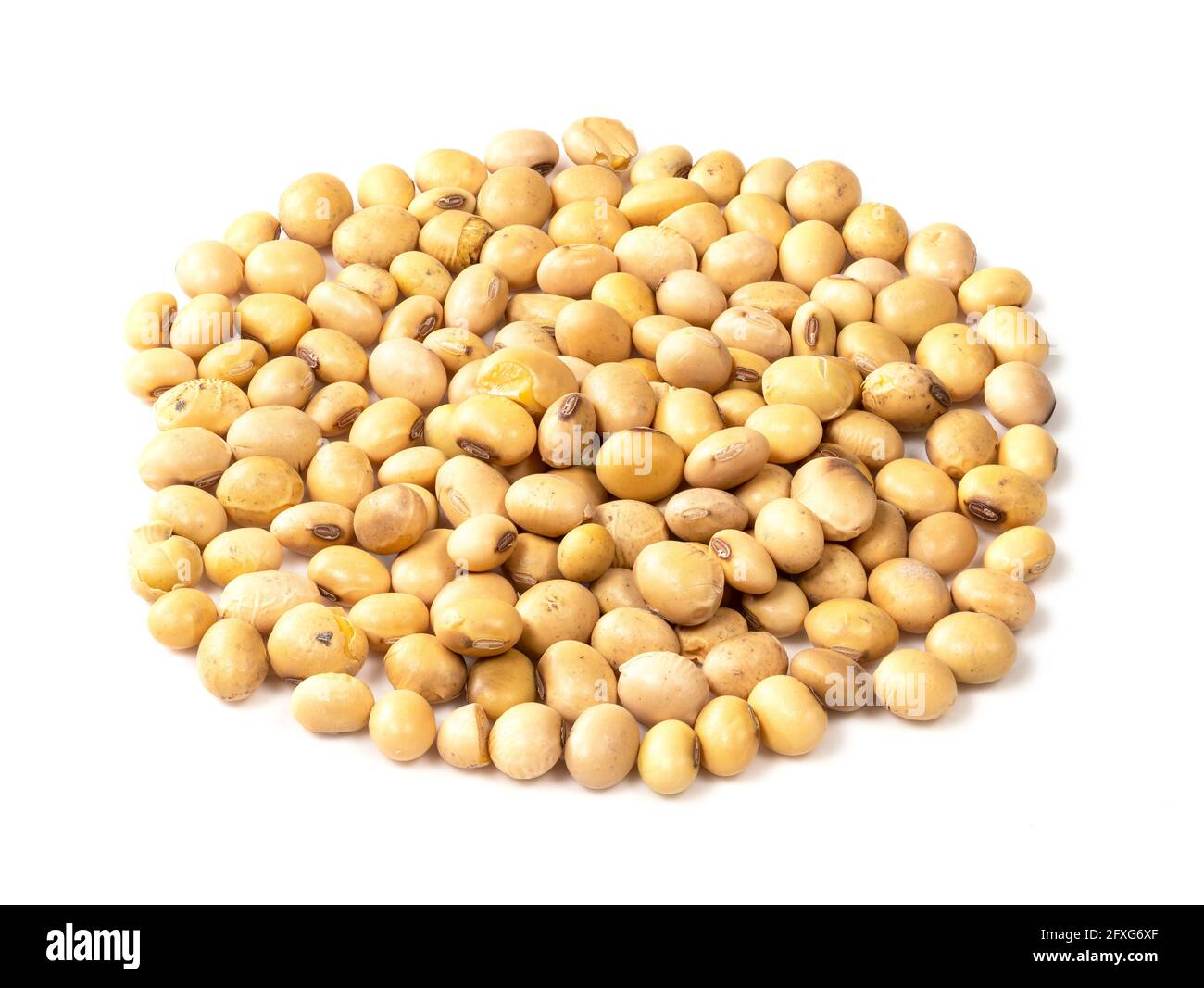 quelques graines de soja séchées sur fond blanc Banque D'Images