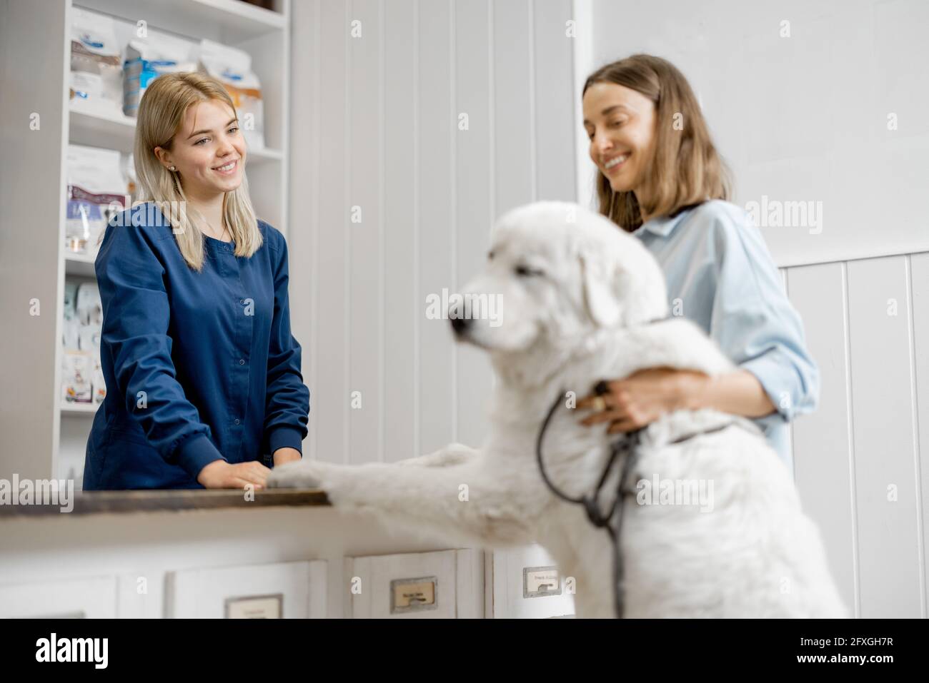 Femme propriétaire avec grand chien blanc à la réception dans la clinique vétérinaire et parlant avec l'assistant. Le chien a grimpé les pattes sur la table. Soins et traitement pour animaux de compagnie Banque D'Images