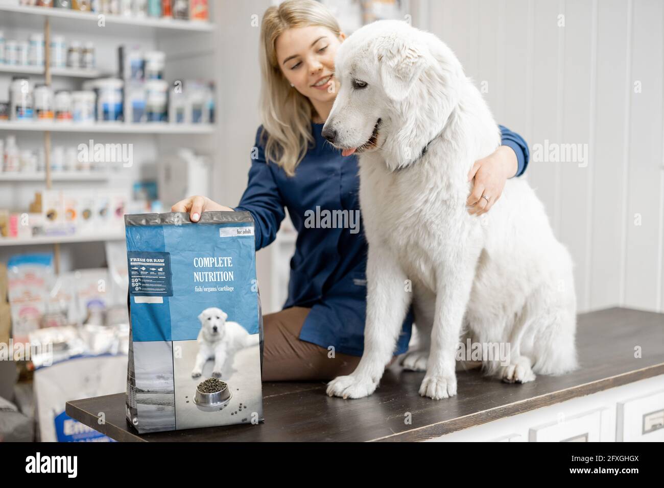 Joyeux vétérinaire féminin et grand chien de berger assis à la réception du magasin vétérinaire et de la clinique avec emballage de nourriture sèche pour chiens et de la nutrition. Soins et traitement pour animaux de compagnie. . Banque D'Images